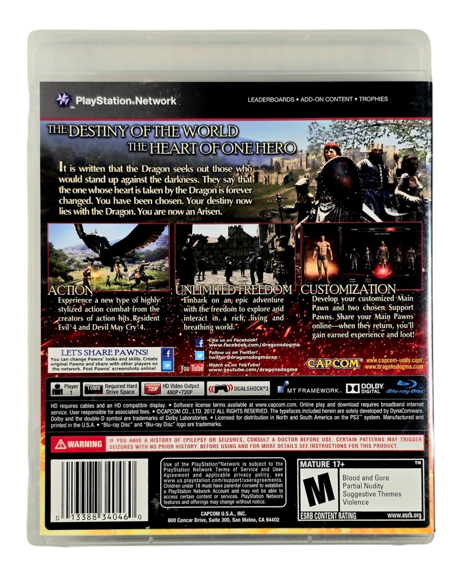 Dragon's Dogma (PlayStation 3, 2012), Complete in Case