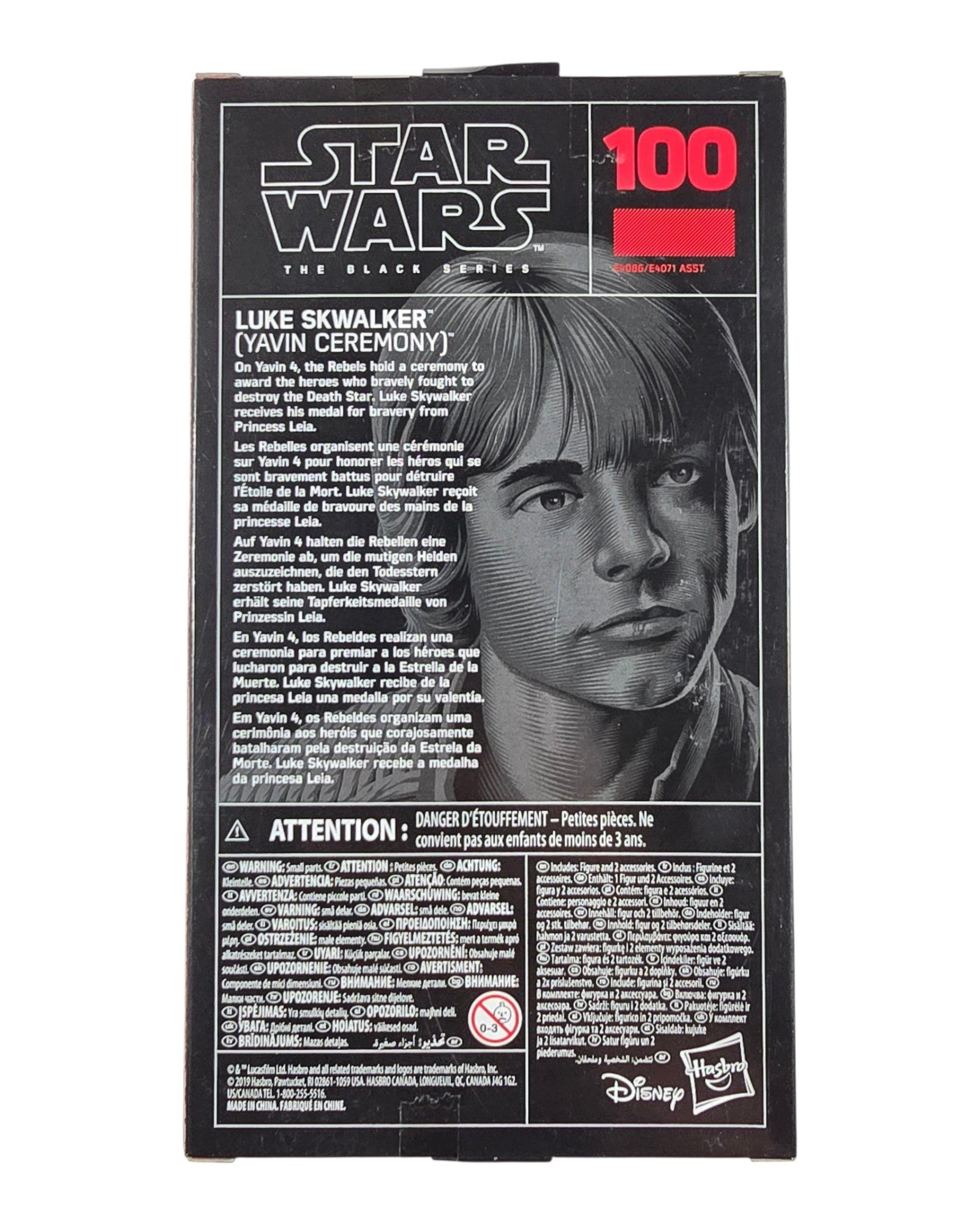 Star Wars The Black Series #100 Luke Skywalker (Yavin Ceremony), Hasbro '19 — back of package